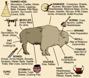 Figure 1.5 illustrates the difference usage of a buffalo for Pawnee Indians. Buffalo has multiple uses like: clothing, skin for their traveling tipi, food, drums, and weapons.